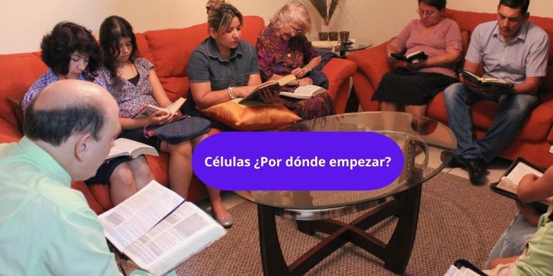 Células ¿Por dónde empezar?