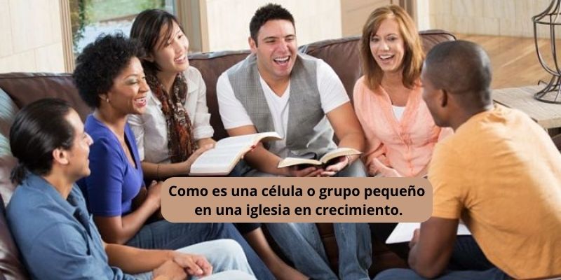 Como es una célula o grupo pequeño en una iglesia en crecimiento.