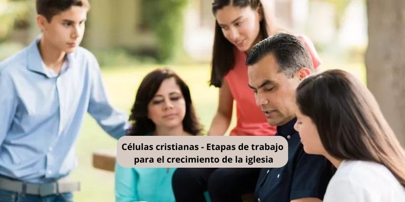 Células cristianas – Etapas de trabajo para el crecimiento de la iglesia