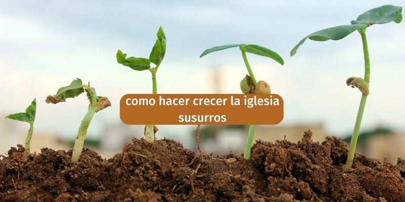 como hacer crecer la iglesia susurros 40