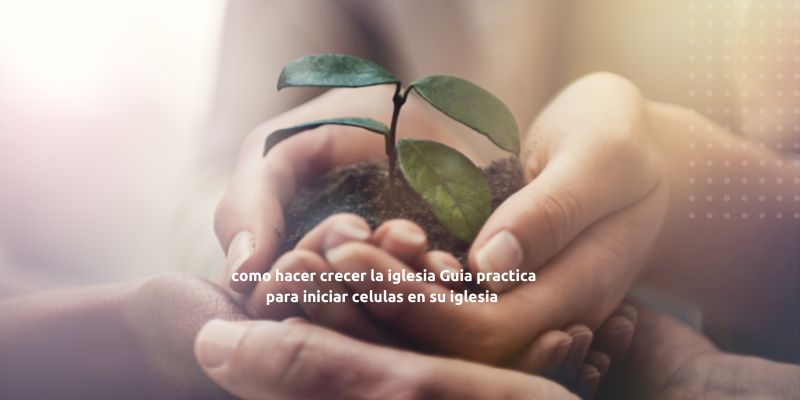 como hacer crecer la iglesia Guia practica para iniciar celulas en su iglesia 48