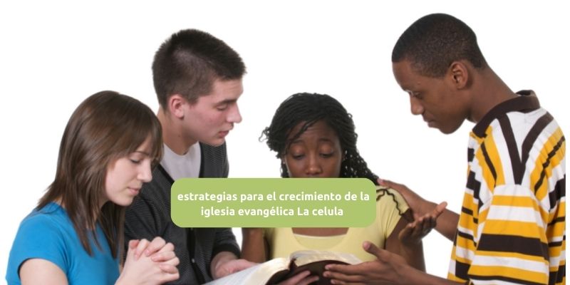 estrategias para el crecimiento de la iglesia evangélica La celula 49